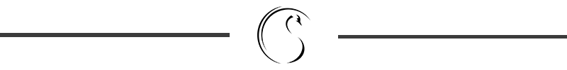 Swan Asset Management Header